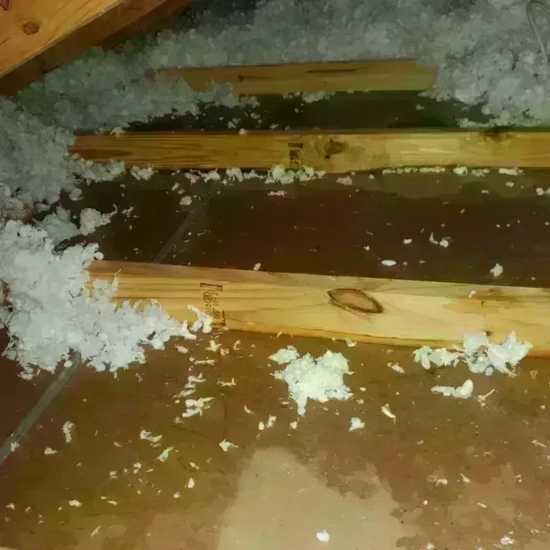 Attic Water Damage in Belle, WV