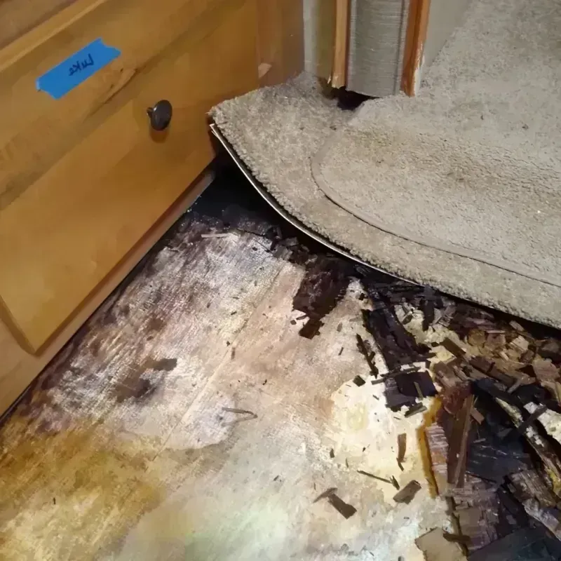 Wood Floor Water Damage in Belle, WV